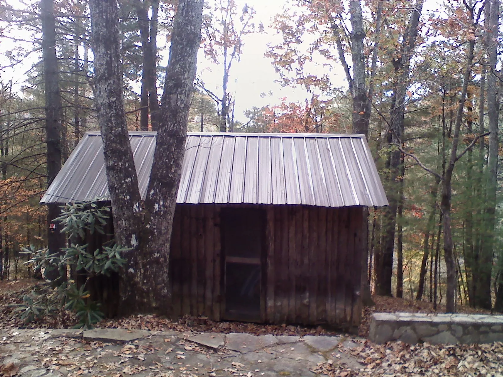 New metal gable roof on a small log shed among the trees in Longford