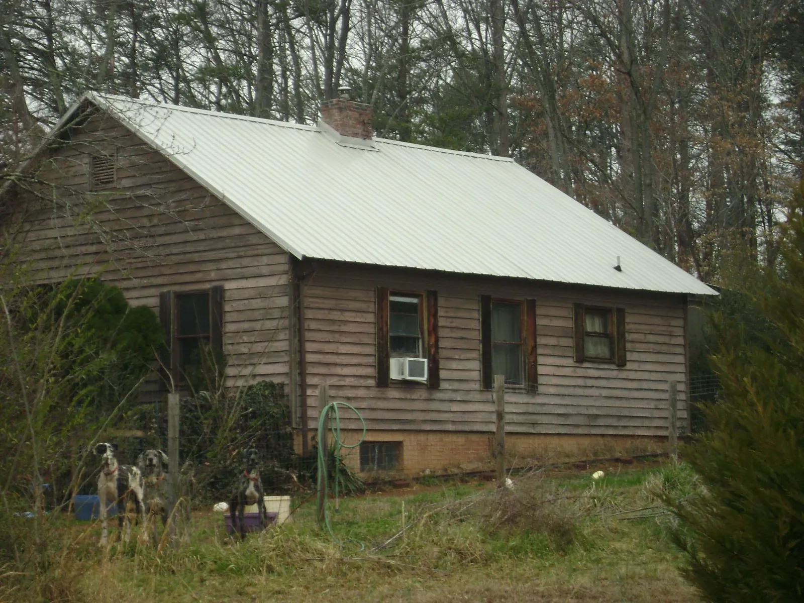 White metal roof on an old wood sided farmhouse, from a Asphalt Shingle Roof Repair job in Longford